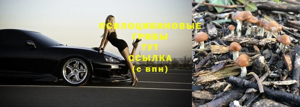 кокаин премиум Дмитриев