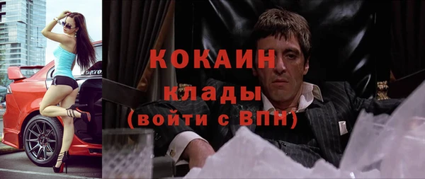 СК Ельня