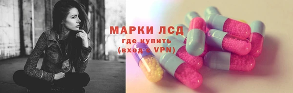СК Ельня