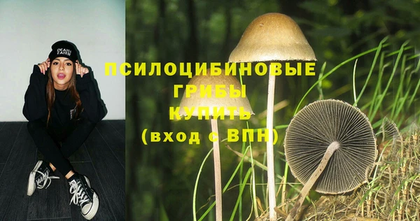 кокаин премиум Дмитриев