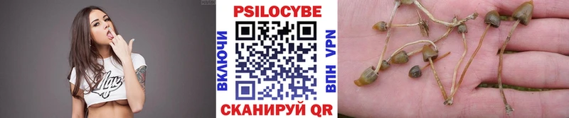 Галлюциногенные грибы Magic Shrooms  Купить закладки  Никольское 