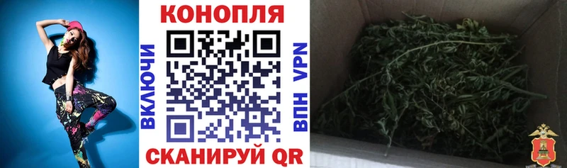 Бошки марихуана OG Kush  Купить  Никольское 